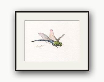 Libellenaquarell auf Papiermalerei, Anisoptera, Libellenillustration, Fliegeninsekten, Libelle Aquarellzeichnung, Insekten von Juan Bosco