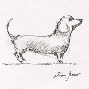 May include: A pencil sketch of a dachshund dog in profile, with a curved tail and upright ears. The dog is drawn in a loose, expressive style, with visible shading and texture. The artist's signature is at the bottom.