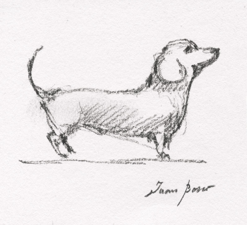 May include: A pencil sketch of a dachshund dog in profile, with a curved tail and upright ears. The dog is drawn in a loose, expressive style, with visible shading and texture. The artist's signature is at the bottom.