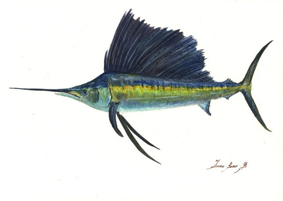 3544 外国切手 ミクロネシア 1995年魚類シリーズ 美しい 4種完 3544 外国切手 ミクロネシア 1995年魚類シリーズ 美しい 4種完