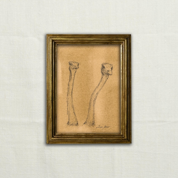 Original, NOT A PRINT - Ostrich art, Ostriches charcoal head sketch, Ostrich head illustration, Ostrich heads pencil artwork - Unframed art.