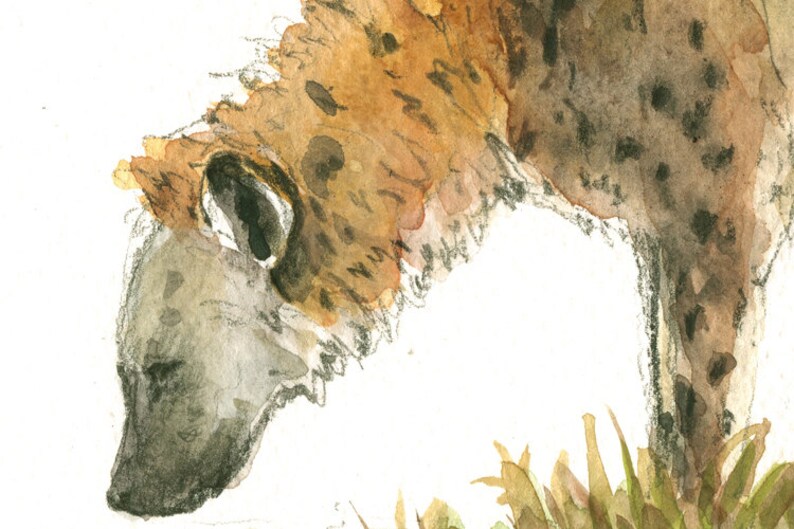 PRINT Hyena Family hyenas and Cub African Animal Art - Etsy