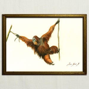 PRINT -Orangutan animal - Orangutan monkey painting watercolor - Big Monkey art nursery forest animal decor - Art Print
