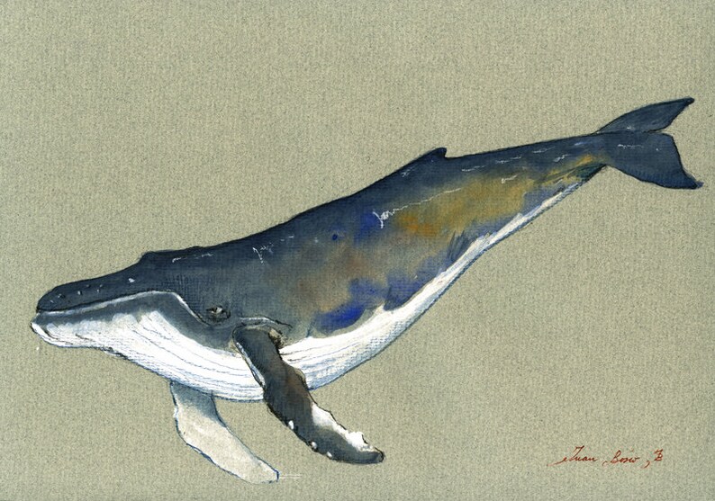 PRINT-Whale Humpback whale print artwork art print watercolor | Etsy