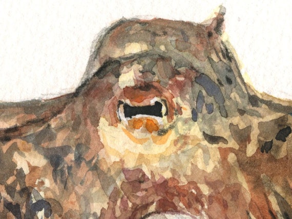プリント、タコの水彩画、タコの絵画、タコの絵、タコのプリント、タコ
