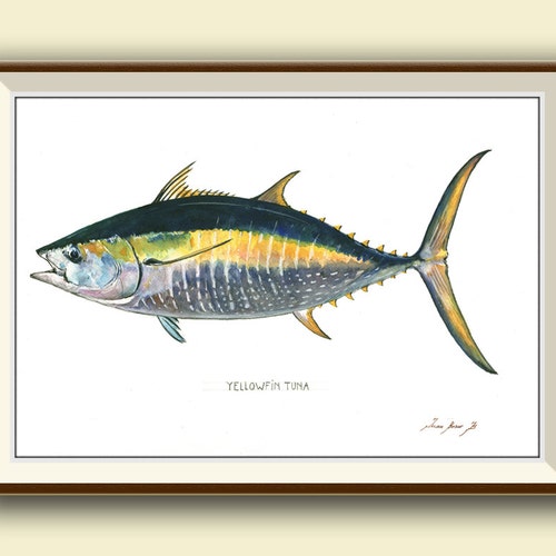 Yellowfin Tuna Watercolor Print Fish Painting Etsy