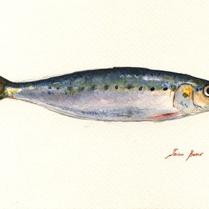 May include: Watercolor painting of a silver and blue fish with a yellow tail fin. The fish is painted on a white background.