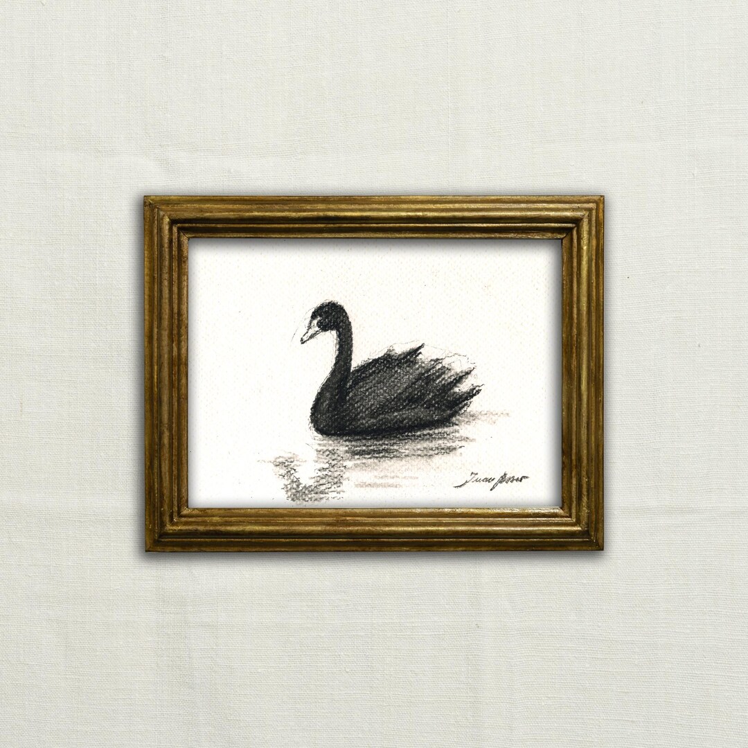 Swan Ink Drawing Original, NOT A PRINT - Swan Art, Black Swan Ink Sketch, Minimalist ...