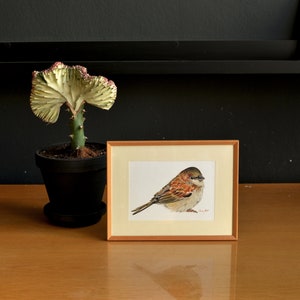 PRINT -Sparrow bird, sparrow bird painting, sparrow watercolor, song bird art, small birds, sparrow bird painting