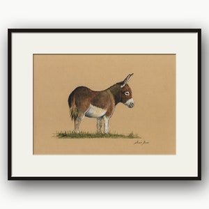 STAMPA - Acquerello su carta raffigurante un asino, Equus asinus, illustrazione di un asino, arte raffigurante animali da lavoro, opera d'arte raffigurante un asino selvatico, animali da fattoria.