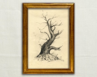 Original, NOT A PRINT - Old Masters style, Charcoal old tree sketch, charcoal tree drawing, classic pencil art wall, country house artwork.