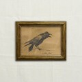 Original, NOT A PRINT - Crow art, raven charcoal sketch, minimal crow, Corvus, raven illustration, black bird pencil artwork - Unframed art. product logo