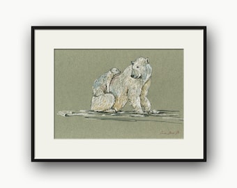 ホッキョクグマの絵、溶ける氷山、北極の絵、彼への面白いビールの