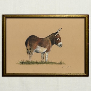 PRINT -Donkey watercolor on paper painting, Equus asinus, donkey illustration, working animal art, wild donkey artwork, Farm animals .