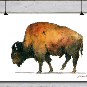 POSTER PRINT Buffalo Bison American Buffalo American Bison Wild Animal ...