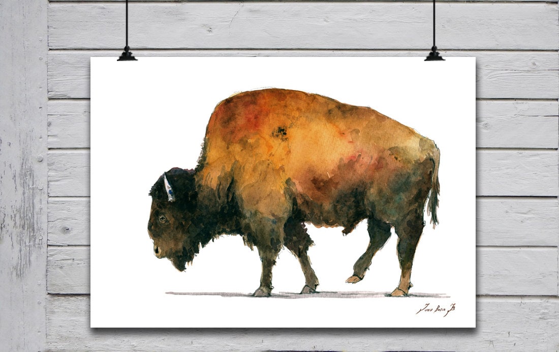 POSTER PRINT Buffalo Bison American Buffalo American | Etsy