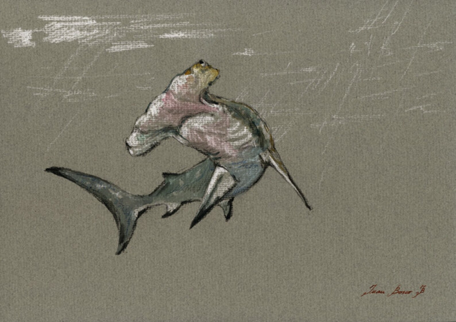 Print-hammerhead Shark Fish Art Wall Decor Print Watercolor - Etsy