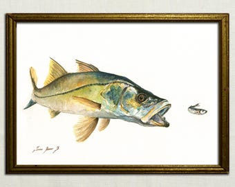 PRINT- Snook fish bait pilchard -saltwater gamefish - fishing art - fish print painting art print - fishing decor - Art Print by Juan Bosco.