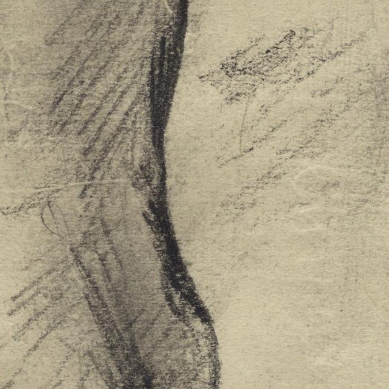 May include: A charcoal sketch on textured paper. The artwork features a curved, dark, shaded form against a lighter background. The sketch has visible pencil strokes, creating a sense of depth and texture. The overall style suggests a classic art piece.