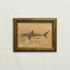 May include: A framed drawing of a great white shark in profile, with the words "Great White" and the artist's signature below the shark.