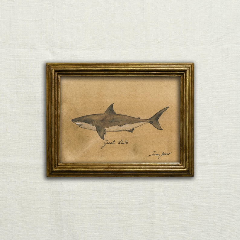 May include: A framed drawing of a great white shark in profile, with the words "Great White" and the artist's signature below the shark.