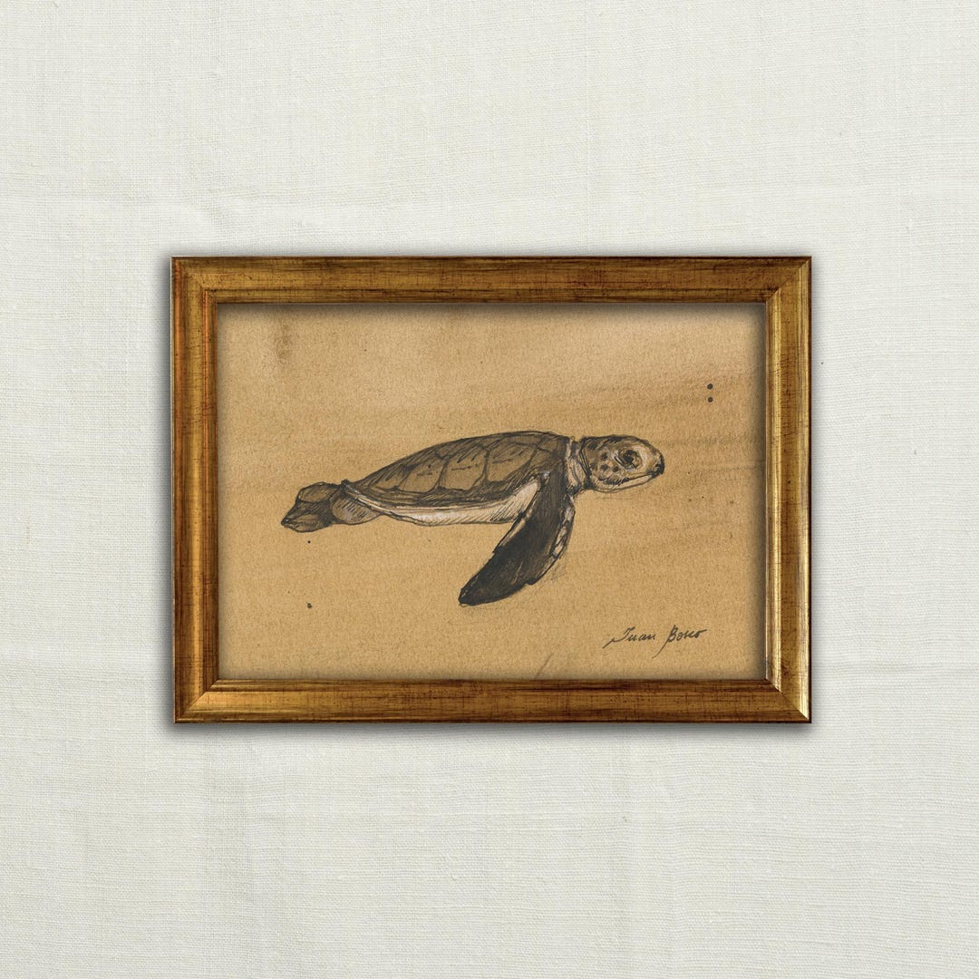 Original, NOT A PRINT - Sea Turtle Art, Minimalist Turtle Drawing ...