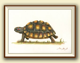 PRINT- Red Footed Tortoise - Tortoise south america Turtle -Tortoise art wall painting watercolor original animal -  Art Print