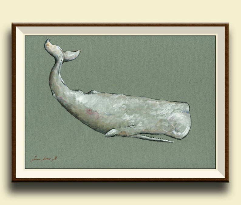 9 pollici Dick immagini