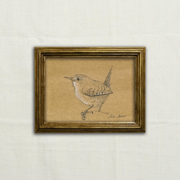 Original, KEIN DRUCK - Zaunkönig Kunst, Kohle Skizze Zaunkönig, minimal Zaunkönig, Troglodytidae Zeichnung, Zaunkönig Vogel Bleistift Illustration - Kunst ohne Rahmen.