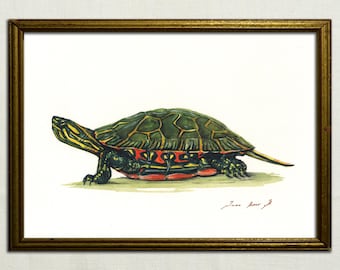 PRINT -Western painted turtle - Tortoise painting - painted turtle art wall painting watercolor original animal -  Art Print