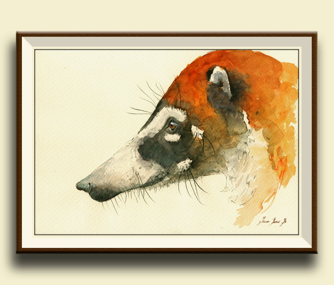 Coati Coatimundi Animal Head Painting Watercolor PRINT Coati Etsy