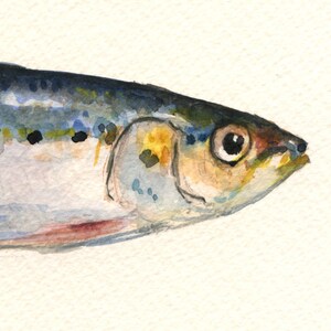 May include: Watercolor painting of a silver, blue, and yellow fish with a black eye. The fish is painted in a realistic style.