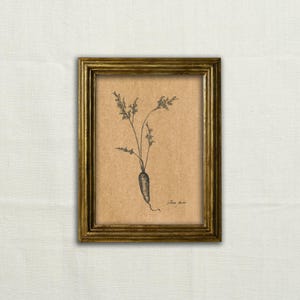 Origineel, GEEN PRINT - wortelkunst, plantaardige houtskoolschets, wortelillustratie, wortelpotloodkunstwerk, vintage groente - kunst zonder lijst.