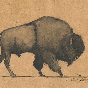May include: A charcoal drawing of a bison in profile, rendered in shades of gray and black. The artwork is on a tan background, with the artist's signature in the lower right corner. The bison is depicted with detailed fur and a strong, muscular build.