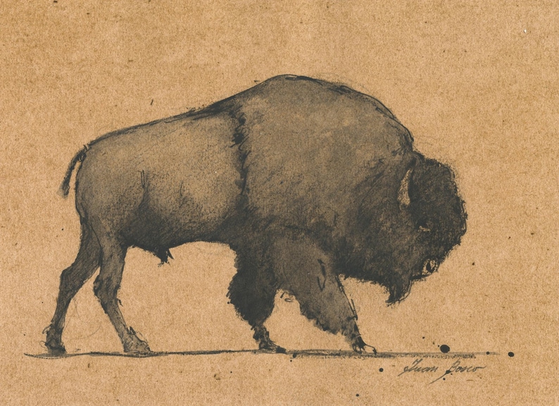 May include: A charcoal drawing of a bison in profile, rendered in shades of gray and black. The artwork is on a tan background, with the artist's signature in the lower right corner. The bison is depicted with detailed fur and a strong, muscular build.