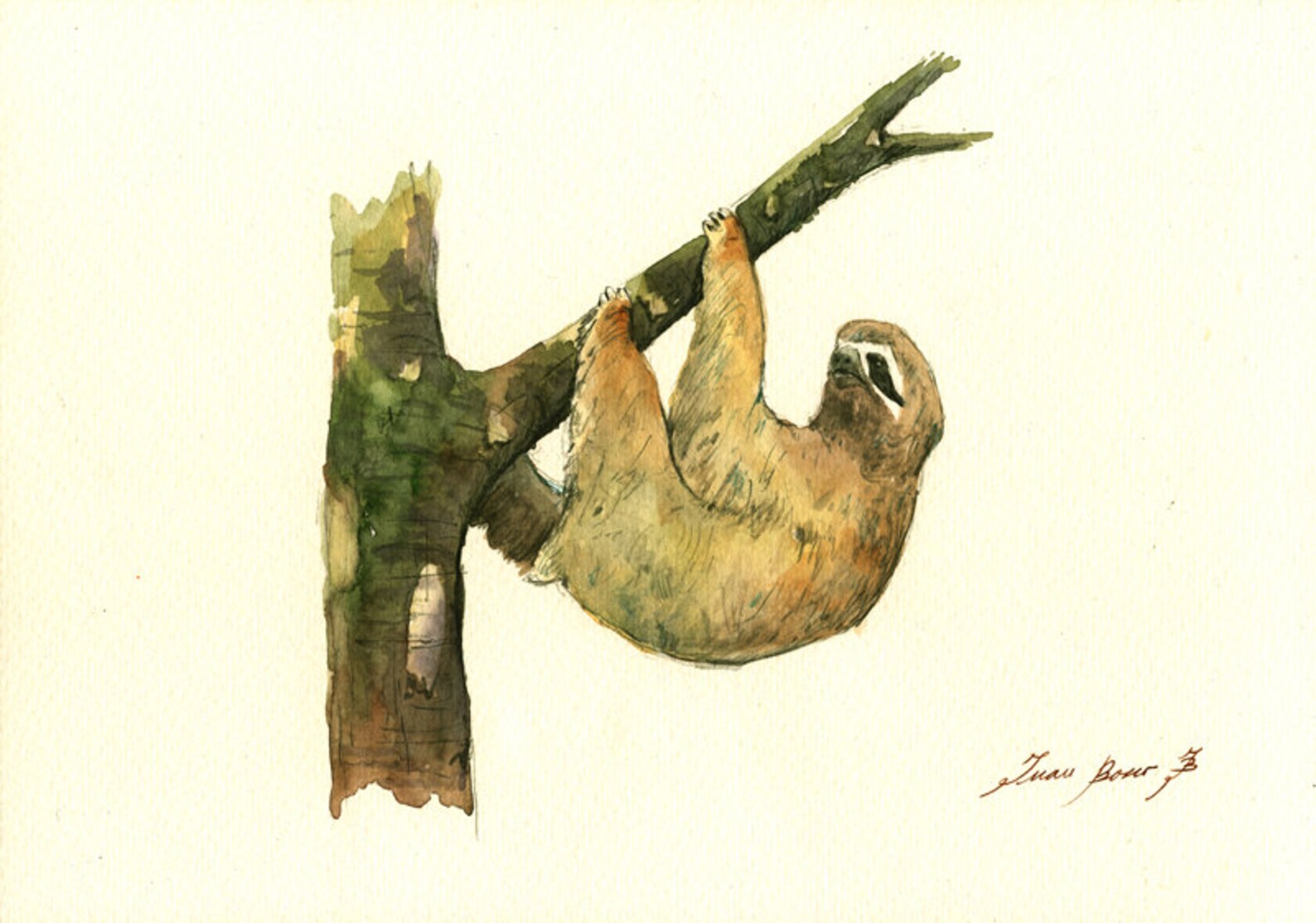 Druck-Faultier Tier drei toed Faultier Malerei Aquarell | Etsy