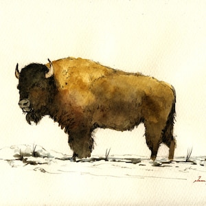 Print-american Bison Buffalo Forest Portrait Art Print by Juan Bosco - Etsy