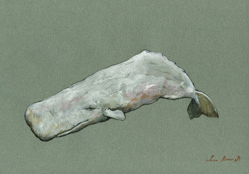 Russell recommends best of Blue whale sperm quantity Hot teen virgin