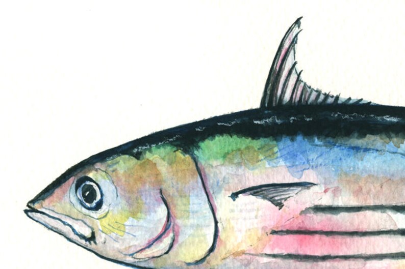 PRINT Skipjack tuna fish Tuna painting art print Tuna fish Etsy
