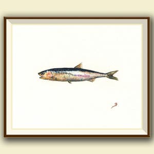 PRINT, Anchovy fish- Fish painting art print - scad sardine fish art nursery ocean sport fishing decor - Art Print