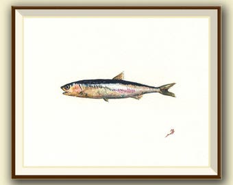 Anchovy fish- Fish painting art print - scad sardine fish art nursery ocean sport fishing decor - Art Print by Juan Bosco