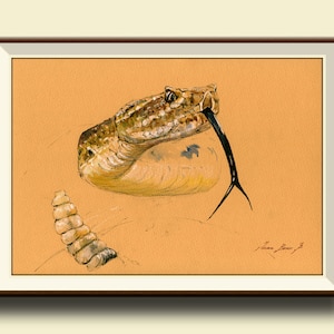 PRINT-Klapperschlange Schlange Wüste Kopf Portrait Druck Aquarell Malerei Kunst Wand Tier Wald Wanddruck- Art Print- Kunstdruck