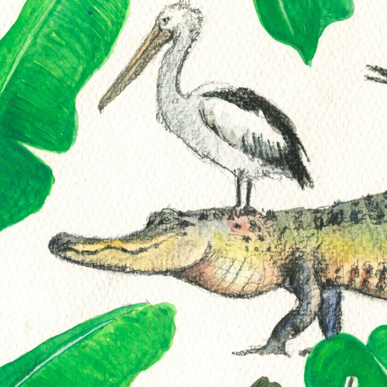 Op de afbeelding: Een aquarel schilderij van een pelikaan die op de rug van een alligator zit. De pelikaan is wit met zwarte markeringen en een lange oranje snavel. De alligator is groen en bruin met een getextureerde huid. De achtergrond is wit met groene bladeren.