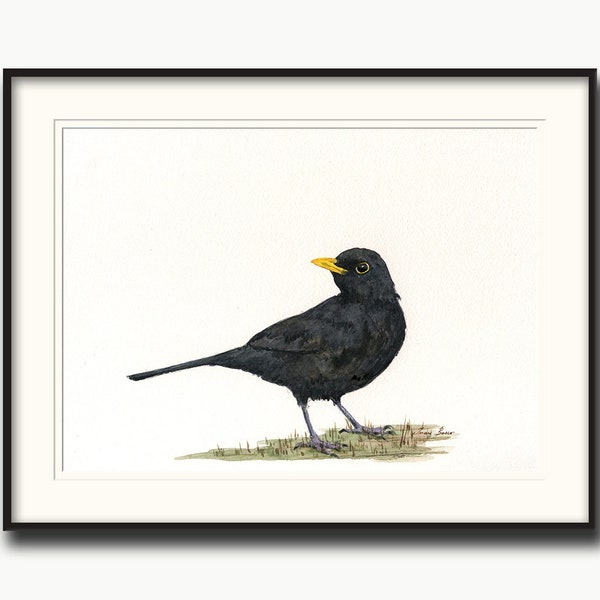 Amsel Aquarell, Amsel Druck, Amsel Malerei, Vogel Kunst, Drossel Vögel, Singvögel Druck, Vogel Druck -Kunstdruck von Juan Bosco