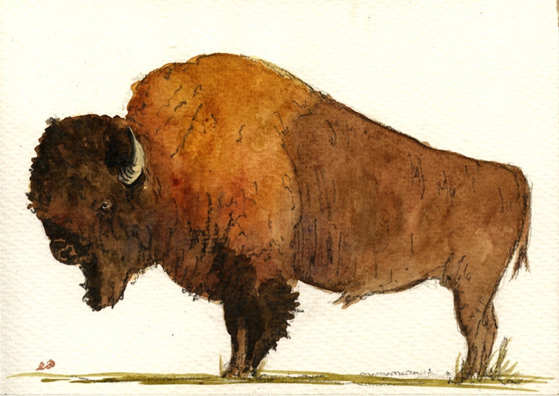 PRINT-American Bison Buffalo forest portrait Art Print by | Etsy