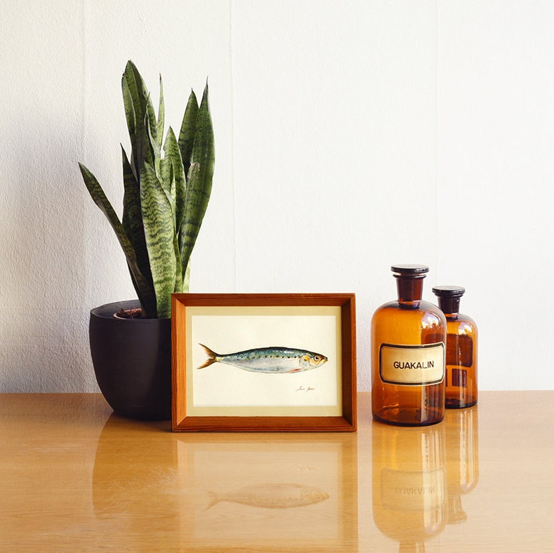 May include: A framed illustration of a fish with a wooden frame. Two amber glass bottles with labels are on a wooden table next to a potted snake plant.