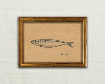 Könnte beinhalten: Ein gerahmtes Kunstwerk mit einer detaillierten Kohle- oder Bleistiftzeichnung eines einzelnen Fisches, der mittig auf hellbraunem, strukturiertem Papier dargestellt ist. Der Fisch ist horizontal ausgerichtet und unten rechts befindet sich eine Signatur.