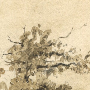 K&ouml;nnte beinhalten: Ein Aquarellbild eines Astes mit braunen und grauen Bl&auml;ttern auf beigefarbenem Hintergrund.