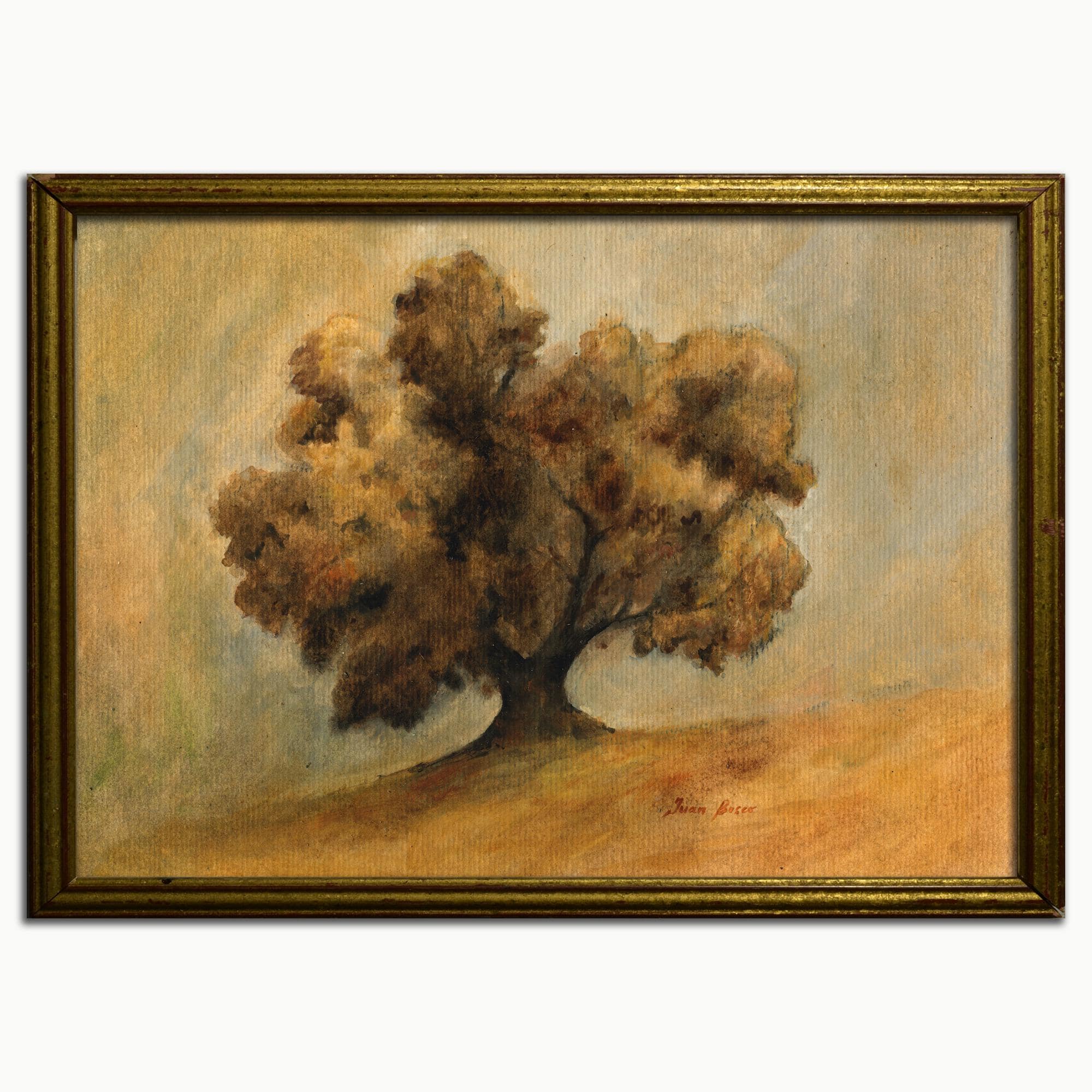 Holm Oak oil on paper painting, Quercus ilex, tree painting, evergreen oak illustration, holly oak artwork, tree print, Trees by Juan Bosco.