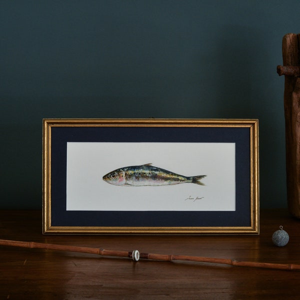 Sardine watercolor painting, fish illustration, pilchard watercolor, Sardinella aurita, house decoration, sardine print, art by Juan Bosco.